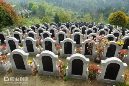 选择旺财墓地风水，子孙运势好