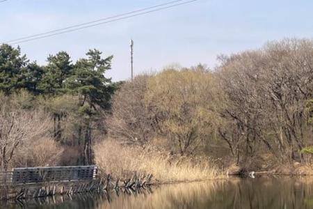 沈阳风水_东陵北陵是世界文化遗产吗