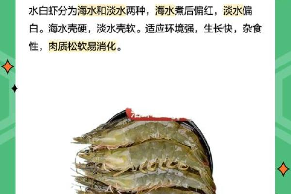 风水招财_养虾招财么