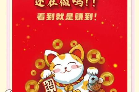 传统风水解析命里藏大富的生肖女有谁