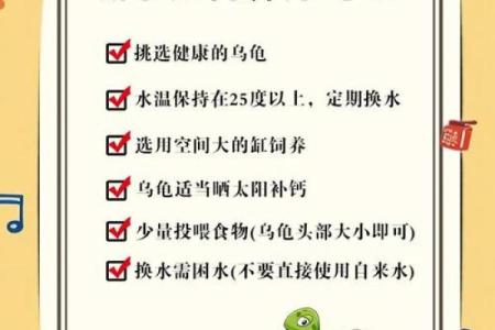 乌龟一般养几只吉利养龟风水养单数还是双数好