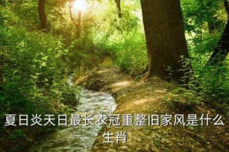 梦见看风水修路