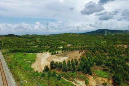 风水关系_是不是跟祖坟风水问题有关系