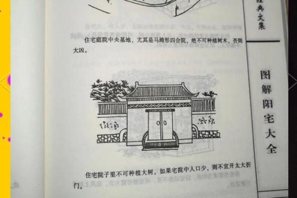 风水房子上长树