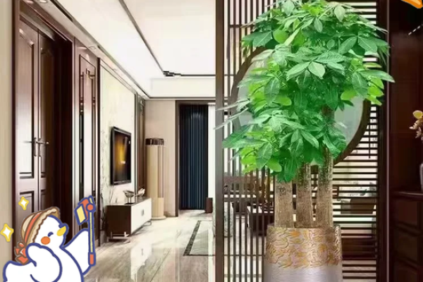 入户玄关的风水