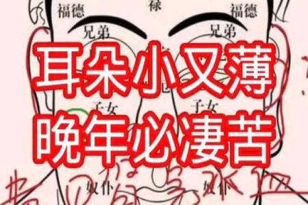 耳朵风水里代表什么