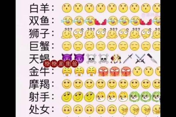 12星座哪五大星座吵架最厉害的