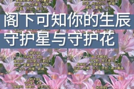十二星座适合什么花最有灵性和灵感