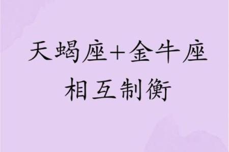 金牛座和哪些星座默契契合