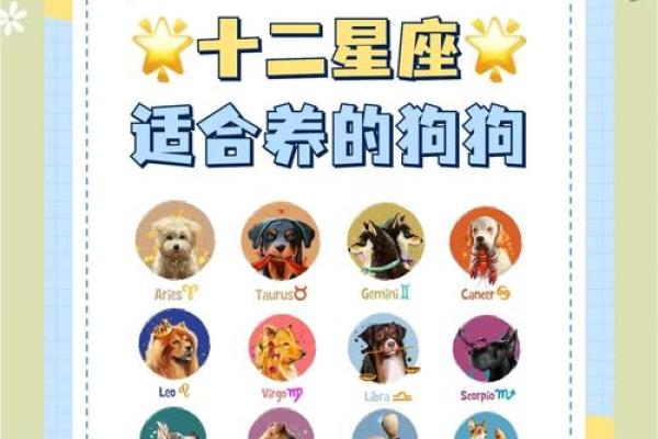 啥星座最适合养什么狗狗呢