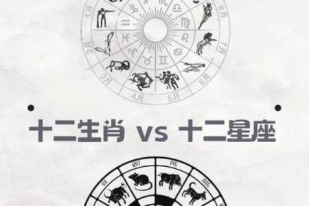 不同属相相同星座的人运势一样吗