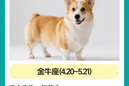 啥星座最适合养什么狗狗呢