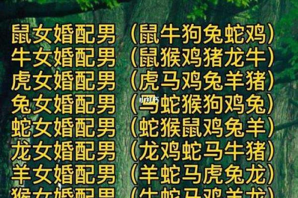 婚姻大忌的生肖配对