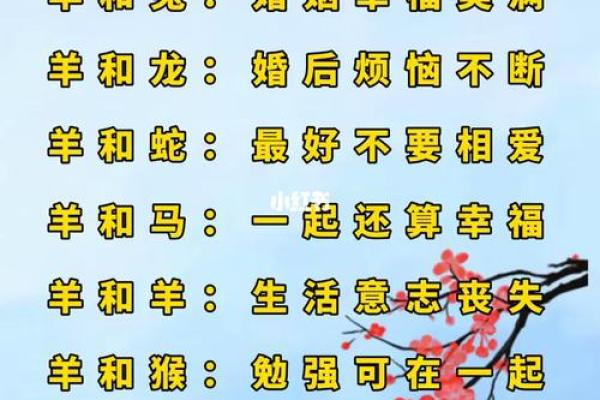 属羊.八字