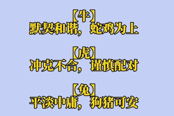 属鼠正缘出现在哪年 属鼠人婚姻配对表