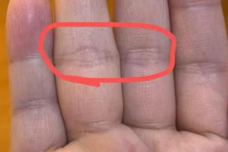 《手相学习百科》：指尖与指节