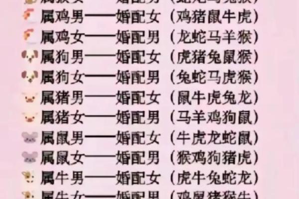 婚姻属相配对查询属马 哪些属相与属马最相配