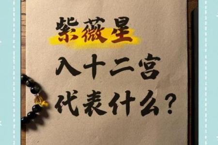 紫薇斗数子女成就
