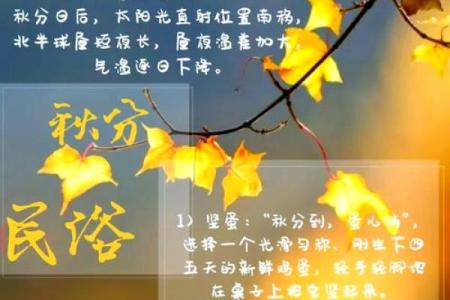 秋分前节气 秋分是什么节日