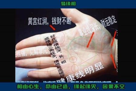 《手相学习百科》：手相看财运和好运