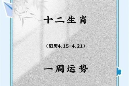 2024星座运势百科