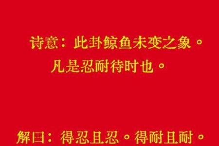 观音灵签53签官司解签