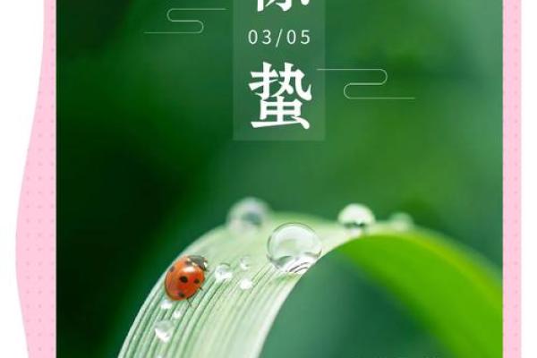 惊蛰节气的养生知识 惊蛰节气的民俗民风有哪些