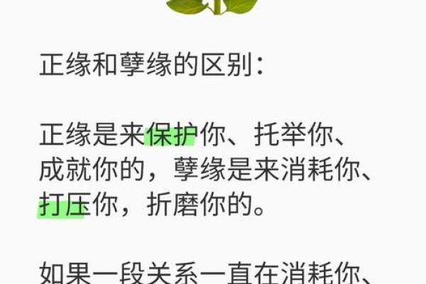 缘分测试超准 缘分免费测试？