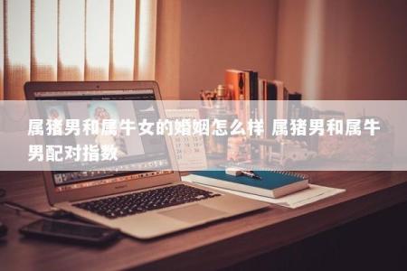 属猪男和属牛女的婚姻怎么样 属猪男和属牛男配对指数