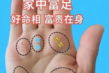 《手相学习百科》：手纹看退休