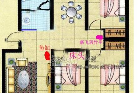 下窖房子风水如何看