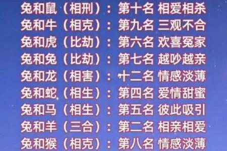 生肖配血型前途最远大TOP3