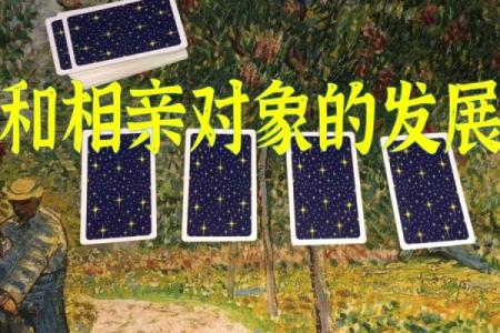 塔罗测试：该不该和相亲对象结婚