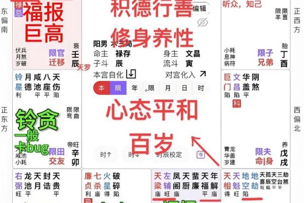 紫薇斗数与八字优缺点