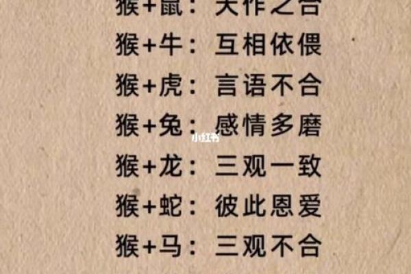 属猴男和什么属相配对