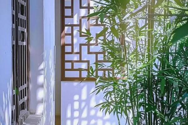 竹子在院子哪个方位好