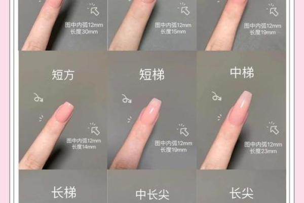 《手相学习百科》：指甲
