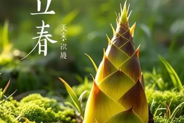 什么是立春的风水