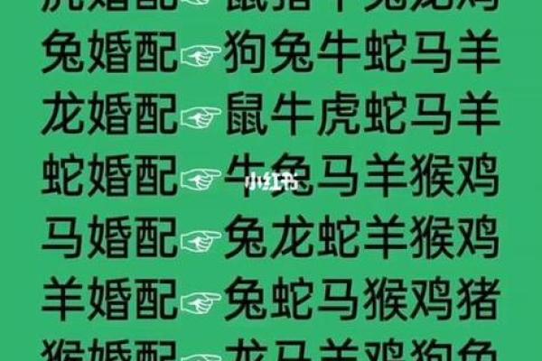 属猪和什么属相最配对 属猪和什么属相相冲
