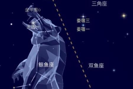 起来最亮的行星是哪个星座
