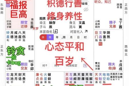 紫薇斗数与八字优缺点