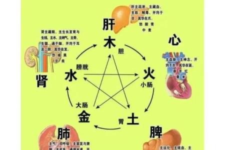 哪些风水会对心脏产生影响