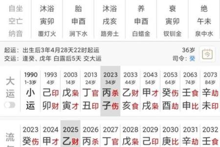 丁亥日八字命运如何查询