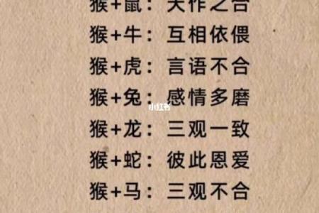 属猴男和什么属相配对