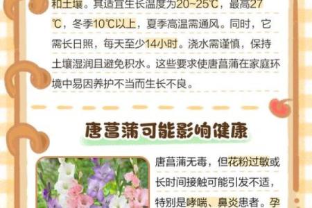 唐菖蒲在风水中有何作用