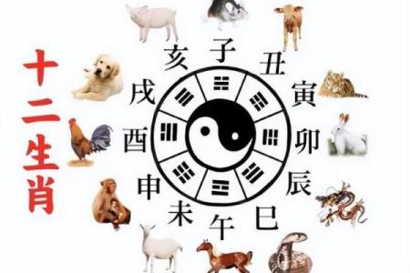 生辰八字均为阴