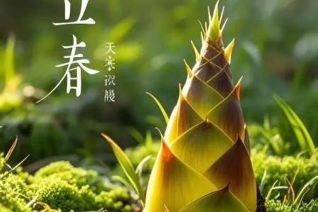 什么是立春的风水