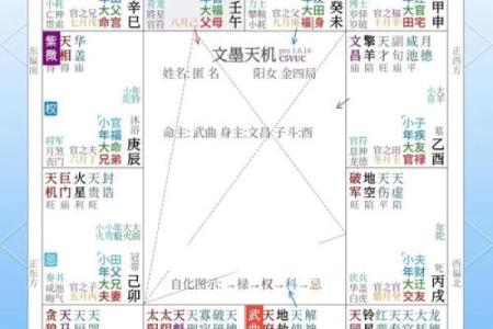 紫微斗数之交友宫与诸星，天梁星在交友宫是什么意思？
