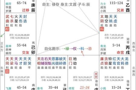 倒背如流：紫微斗数+八字（基础知识点）
