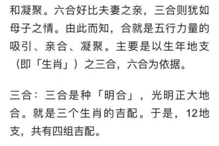 注定成为敌人的属相配对